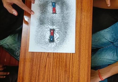 WhatsApp Image 2026-01-29 at 16.39.49 (1)