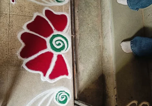 WhatsApp Image 2026-01-29 at 16.39.50 (1)